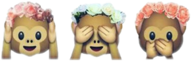 Monkey Emoji (480x480), Png Download