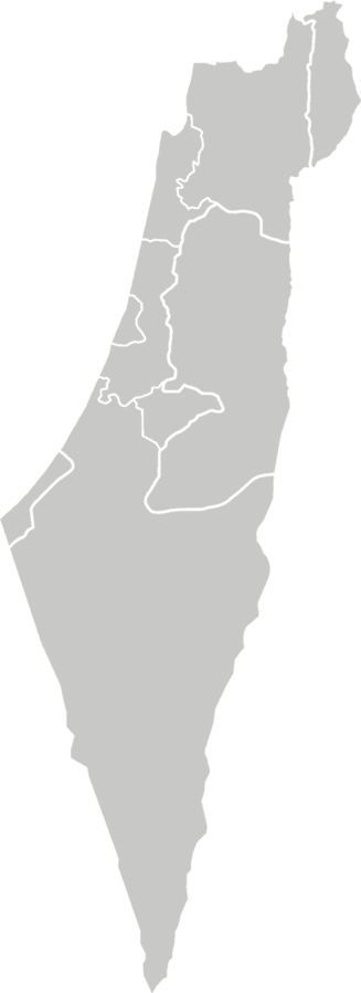 The Israel Intensive Is A Unique Opportunity To Simultaneously - Israel Map Transparent (327x898), Png Download