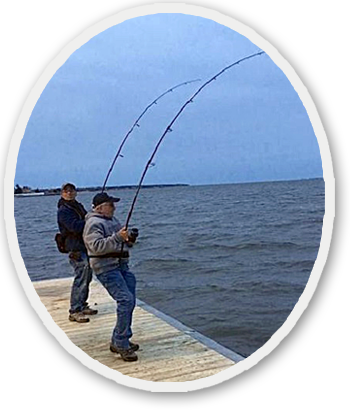 Love That May Fishing - Cast A Fishing Line (350x416), Png Download