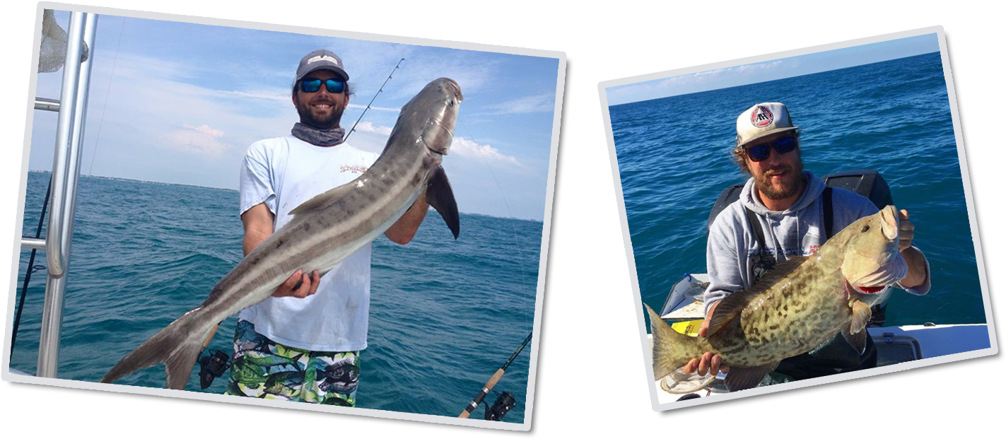 Previousnext - Florida (1500x630), Png Download