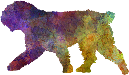 Bleed Area May Not Be Visible - Spanish Water Dog January Notebook Spanish Water Dog (600x480), Png Download