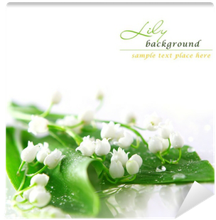 Lily Of The Valley Wallpaper Iphone (400x400), Png Download