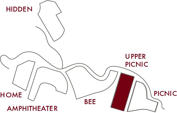 Upper Picnic (732x469), Png Download