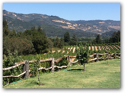 The French Bistro Mysteries' World - Castello Di Amorosa (425x316), Png Download