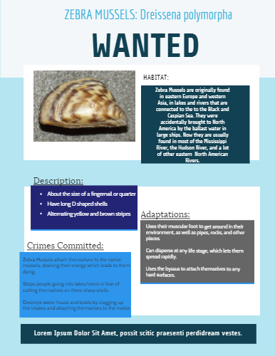 Baked Alaska (386x500), Png Download