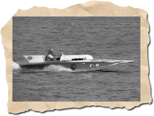 November Wanted Poster, Miss Kathleen F-8 - Tiger (540x432), Png Download