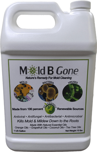 Mold B Gone 1 Gallon - Mold Prevention (320x500), Png Download
