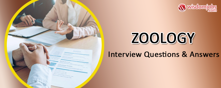 Zoology Interview Questions & Answers - Tecnicas De Seleccion De Personal (880x350), Png Download