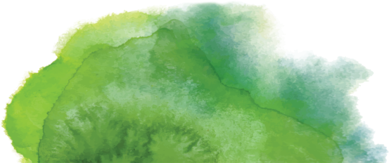 Bottom (580x231), Png Download