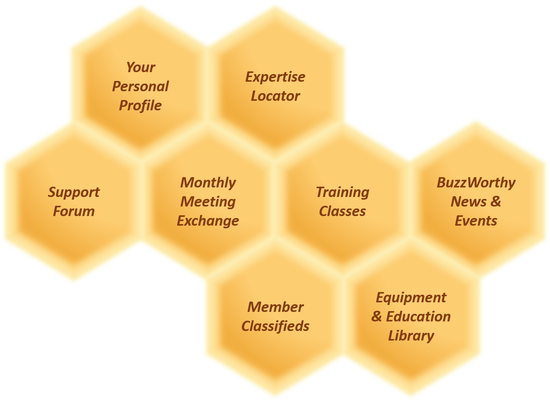 Benefits Of H - Honeycomb (550x402), Png Download