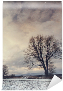 Lonely Tree In A Field Of Snow In December Wall Mural - Mural (400x400), Png Download