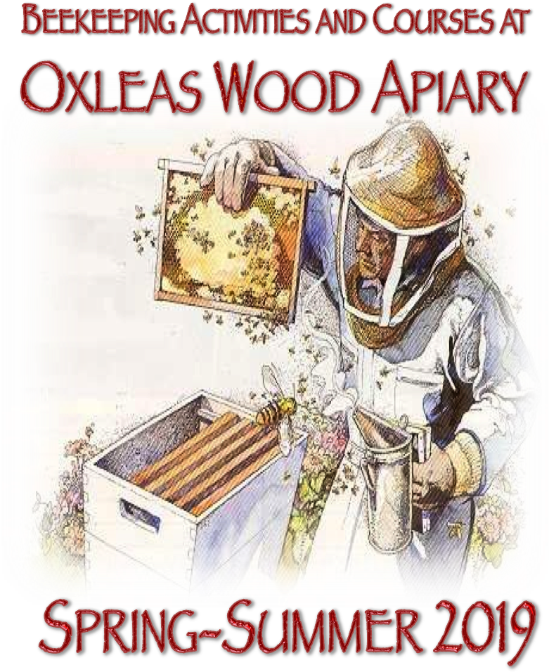 Download 2015 Brochure - Beekeeping (885x1028), Png Download