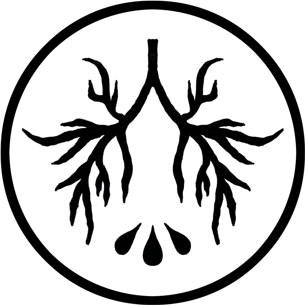 Levi Png (1000x1000), Png Download