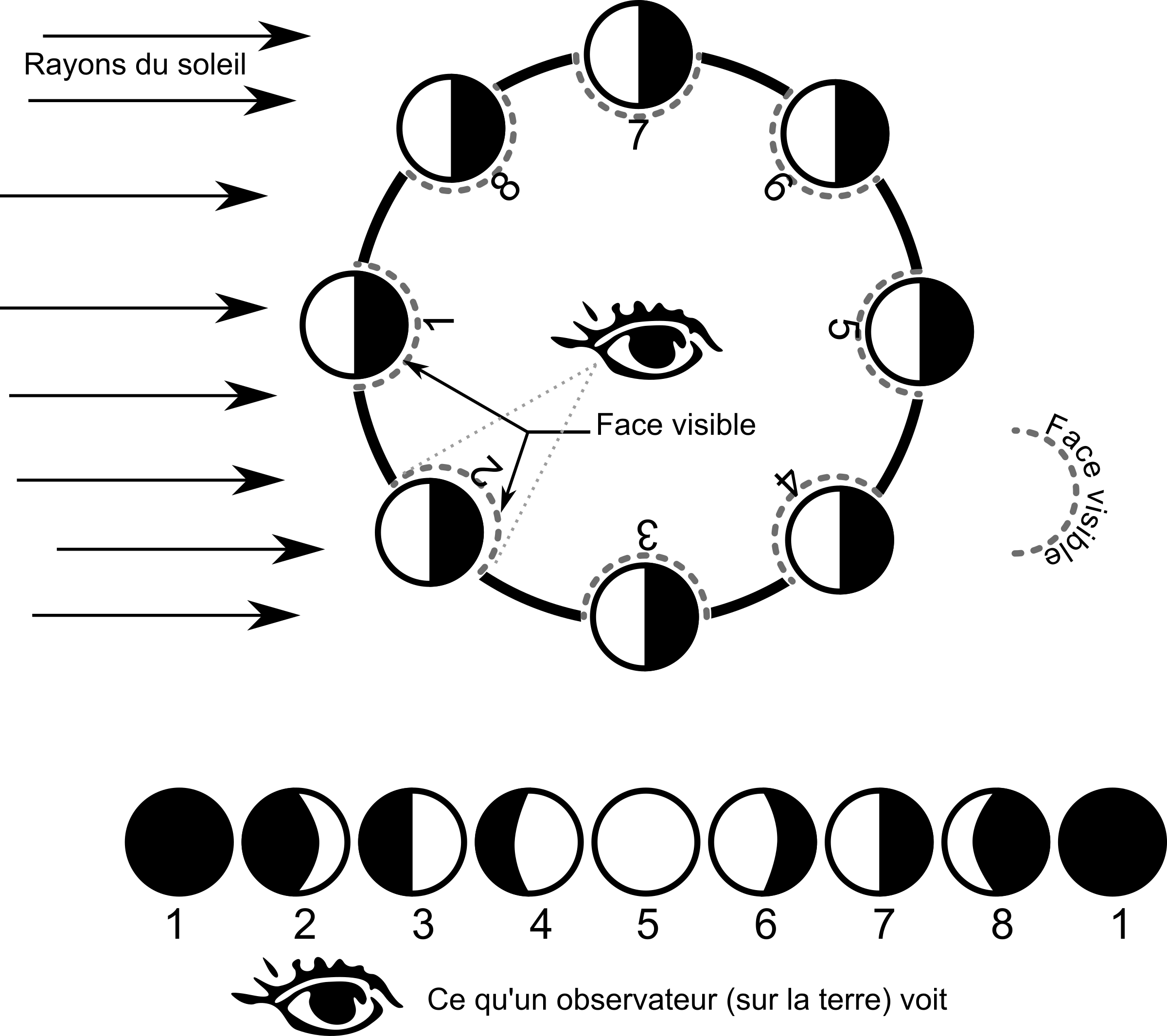 This Free Icons Png Design Of Les Phases De La Lune (2400x2130), Png Download