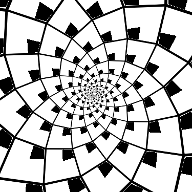 Geometric Designs, Pine Cones, Physics, Pine Cone, - Circle (375x375), Png Download