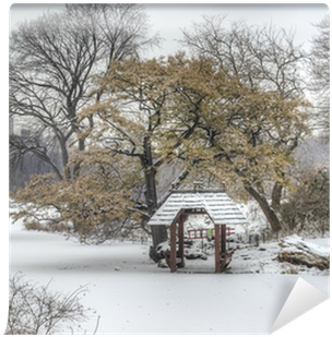 Central Park, New York City During Snow Storm Wall - Neve Em Central Park Em Nova York (400x400), Png Download