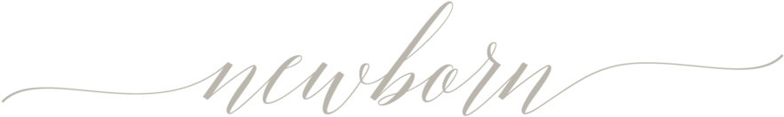 Kdarlingphotography Newborn-12 - Portable Network Graphics (1000x297), Png Download