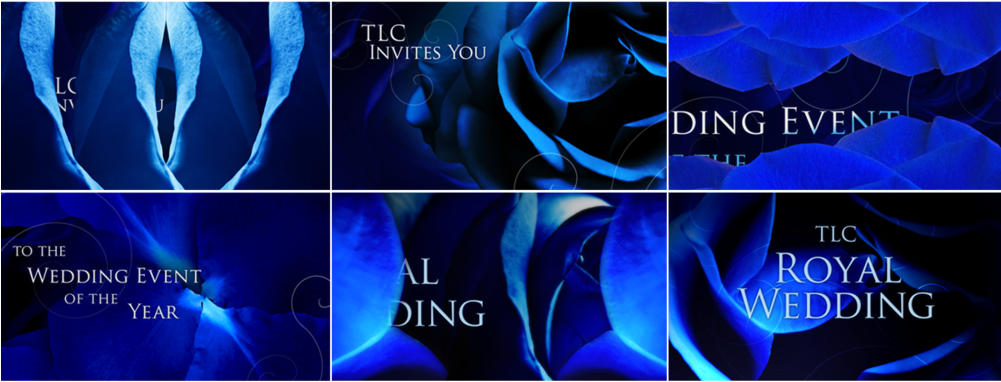 Tlc - Yellow Rose (1000x500), Png Download