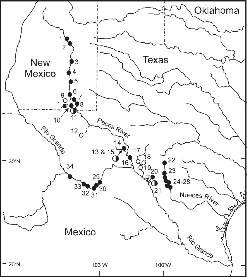 Texas Map Drawing At Getdrawings - Texas (850x955), Png Download