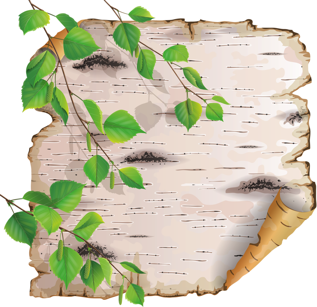 Ch - B *✿* - Береста Клипарт (1024x992), Png Download