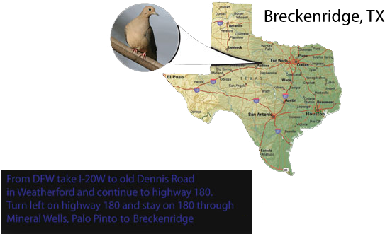 Home » Homepage 1 » Texas Dove Map - Map Of Texas Cities (550x359), Png Download
