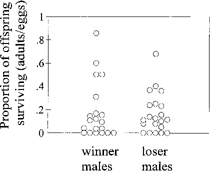 The Proportion Of O€spring Of Winner And Loser Males - Number (420x342), Png Download
