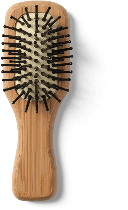 Shaver Hair Brush-compressor - Hairbrush (1000x1000), Png Download