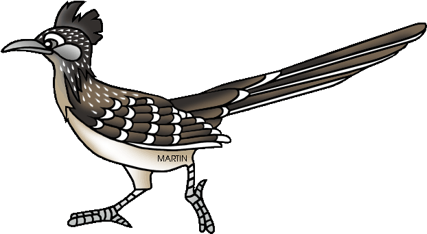 United States Clip Art By Phillip Martin - State Bird For New Mexico (648x377), Png Download