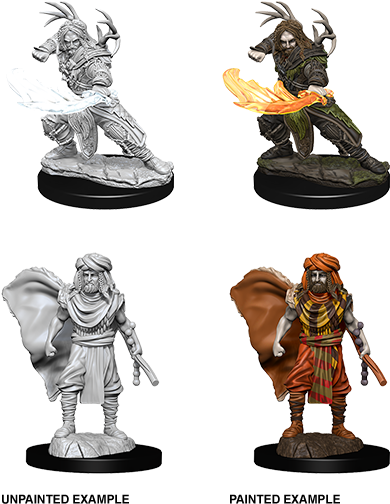 D&d Nolzurs Marvelous Miniatures Male Human Druid (sept) - Dungeons & Dragons Nolzur's Marvelous Unpainted (450x551), Png Download