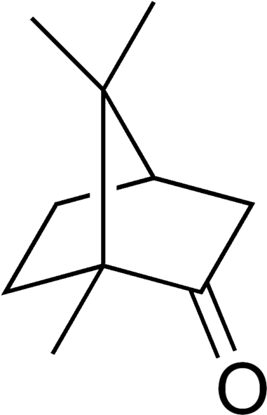 Camphor Structure (389x599), Png Download