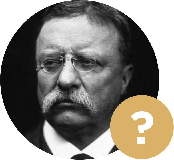 Epa - Theodore Roosevelt Quotes Keep Your Eyes (609x558), Png Download
