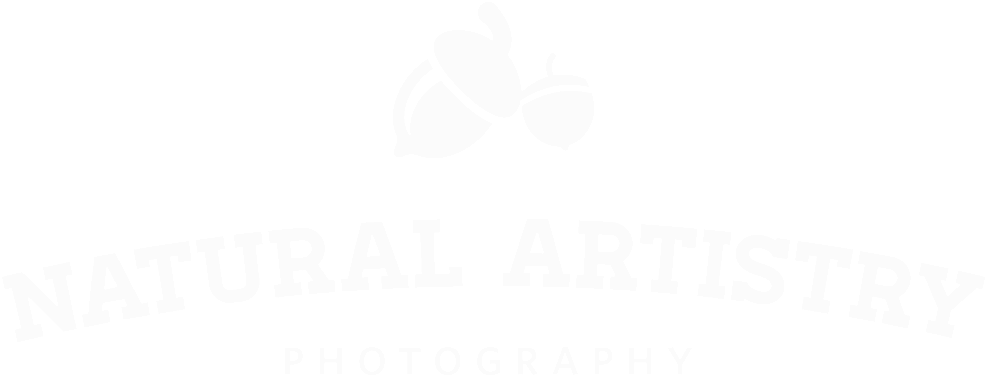 Natural Artistry Photography (1000x393), Png Download