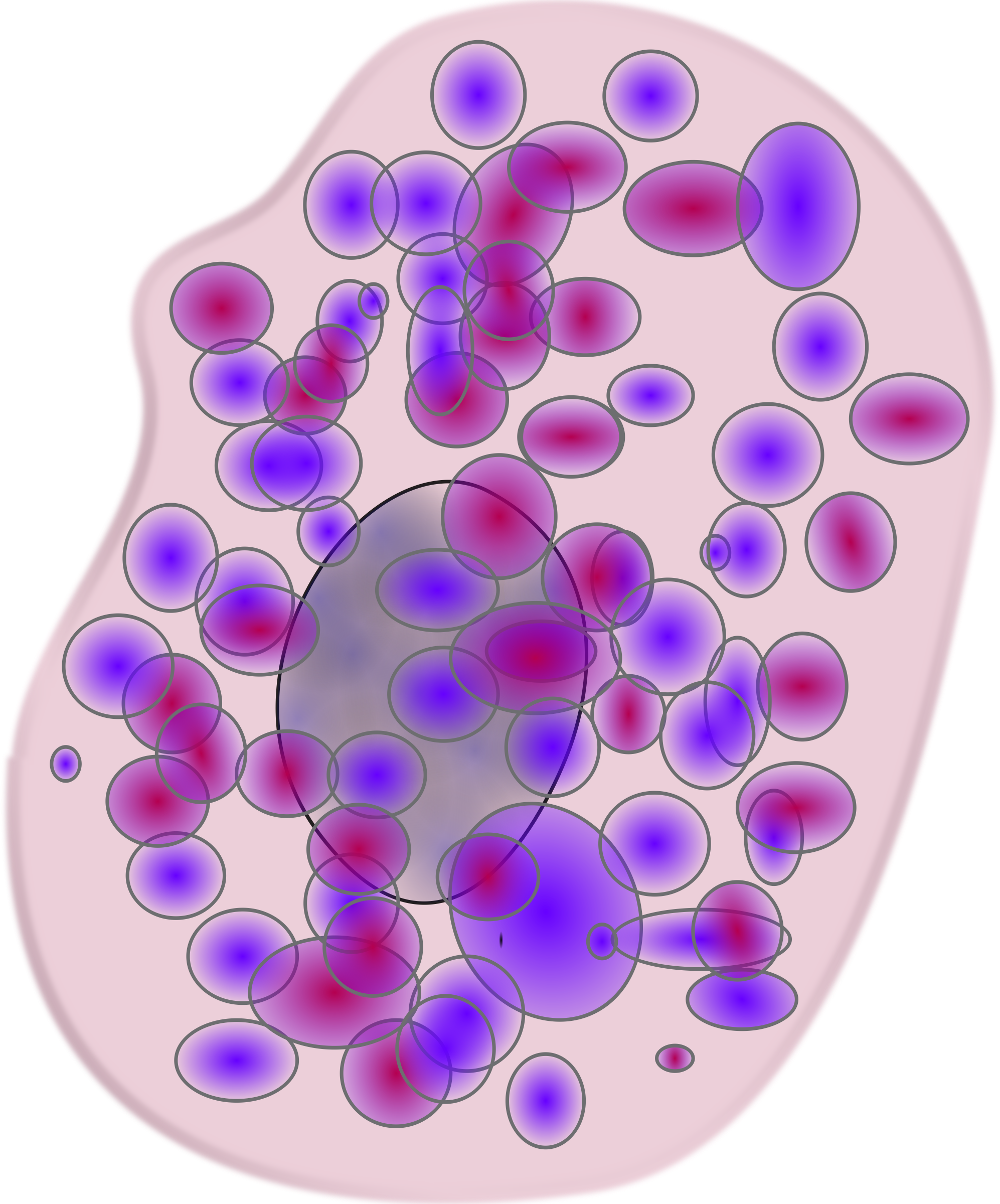Cell image