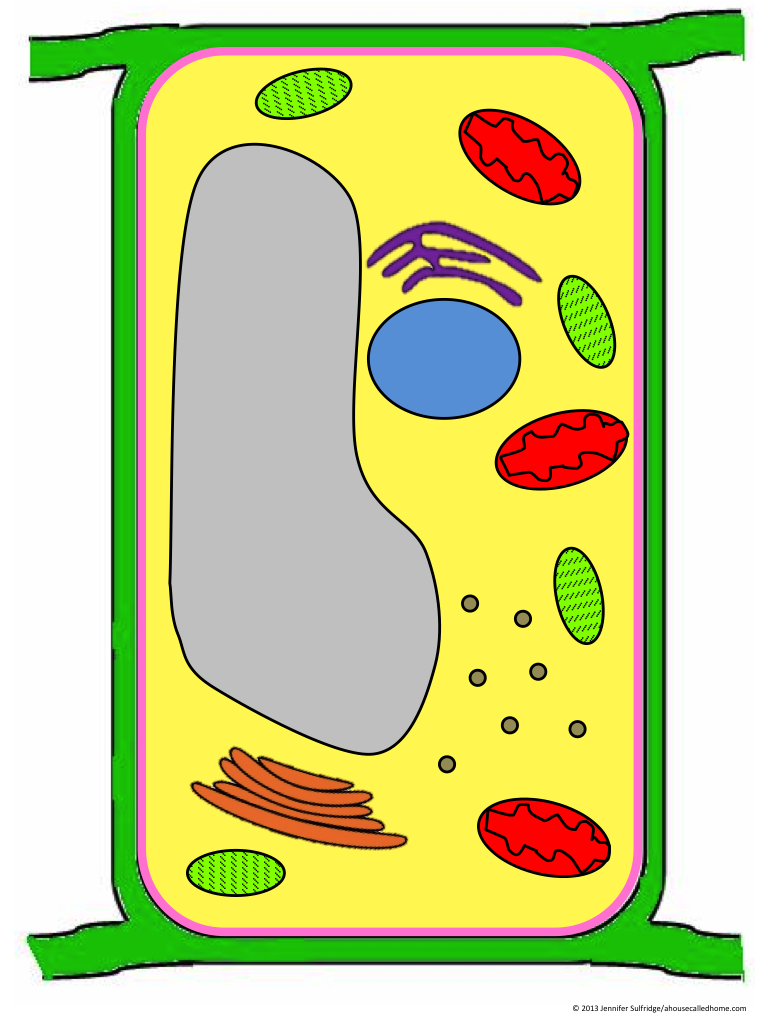 First Off, I Printed Out The Colored Version Of The - School (870x1125), Png Download