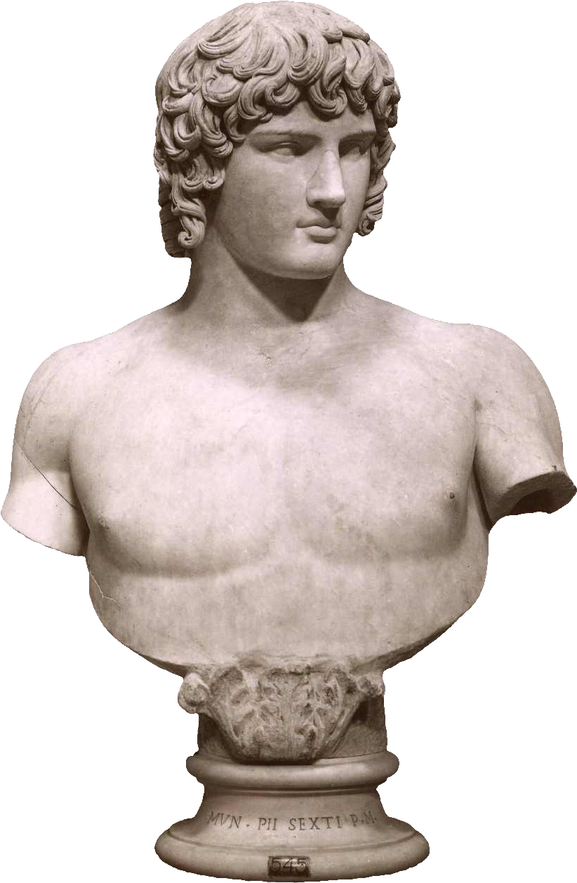 Anderson, James , Antinoo Ai Musei Vaticani, - Bust Png (945x1353), Png Download