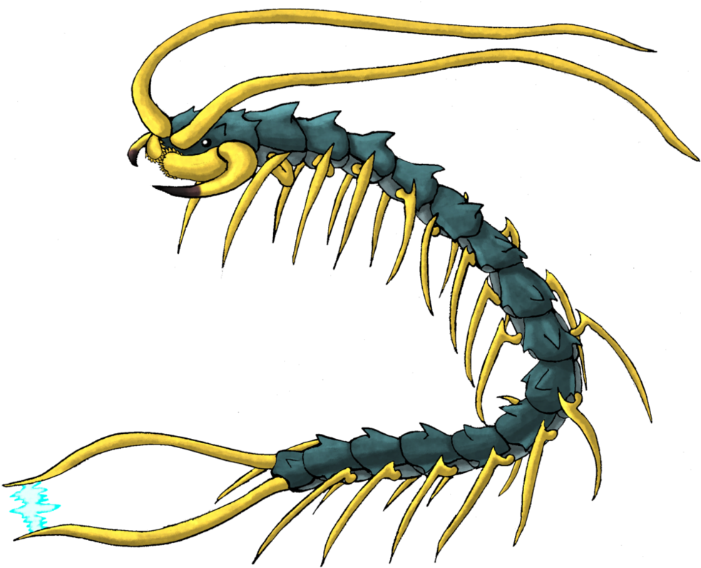 Drawing Insects Centipede Svg Download - Giant Centipede Transparent (1001x797), Png Download