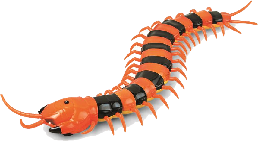 Electric Rc Centipede Fake Remote Control Animal Prank - Innovation Infrared Rc Indian Tiger Centipede / Scolopendra (861x487), Png Download