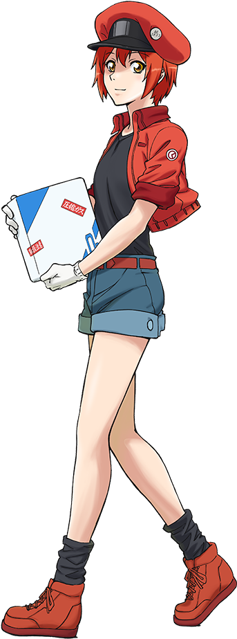 Ae3803 - Red Blood Cell Anime (363x943), Png Download