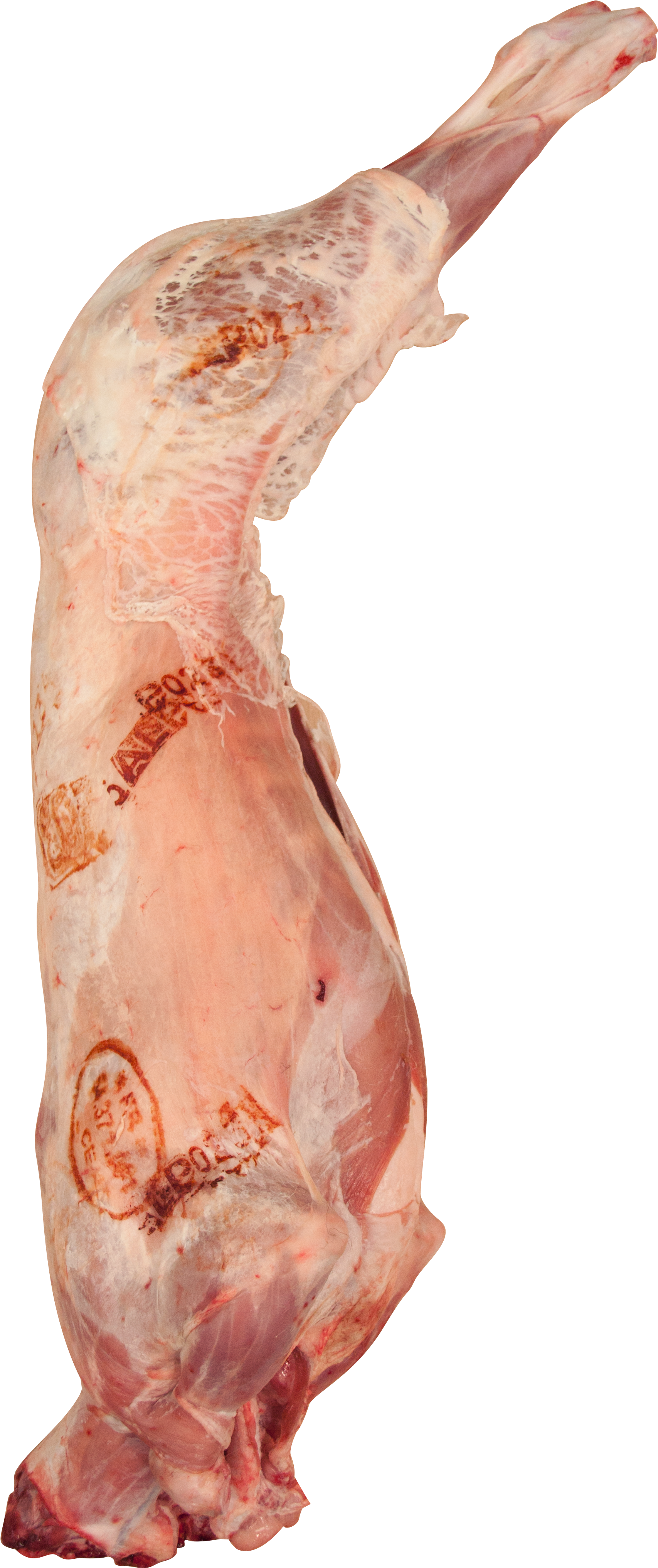 Buy Whole Pyrenees Lamb Online In London Uk (3168x4752), Png Download