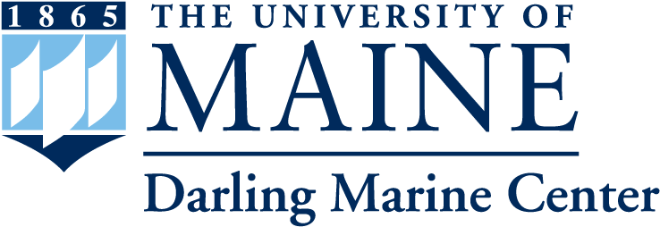 Darling Square Logo - University Of Maine Engineering Logo (900x900), Png Download