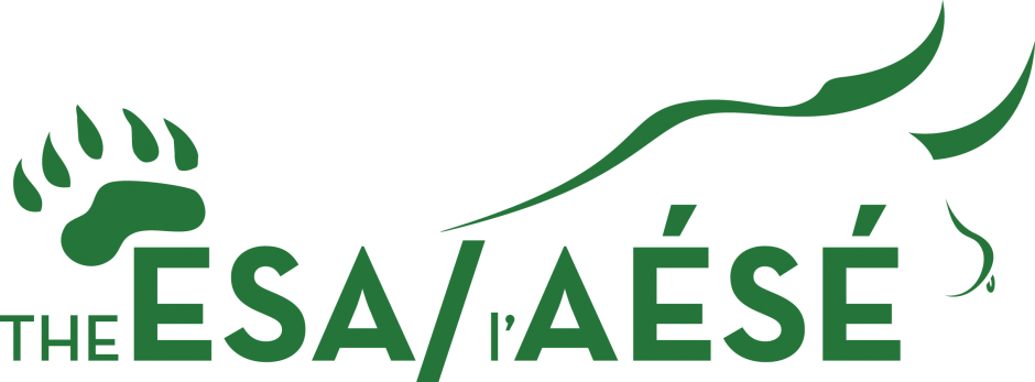 Cropped Esa Bb Logo 2 (940x347), Png Download