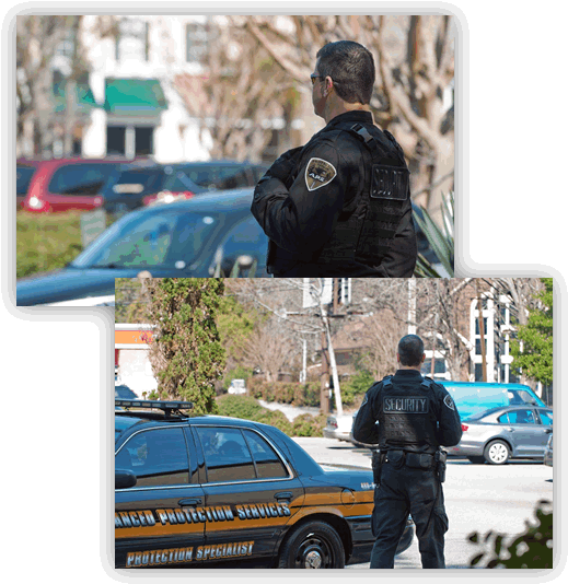 Training - Webster Contracting International Security (538x554), Png Download