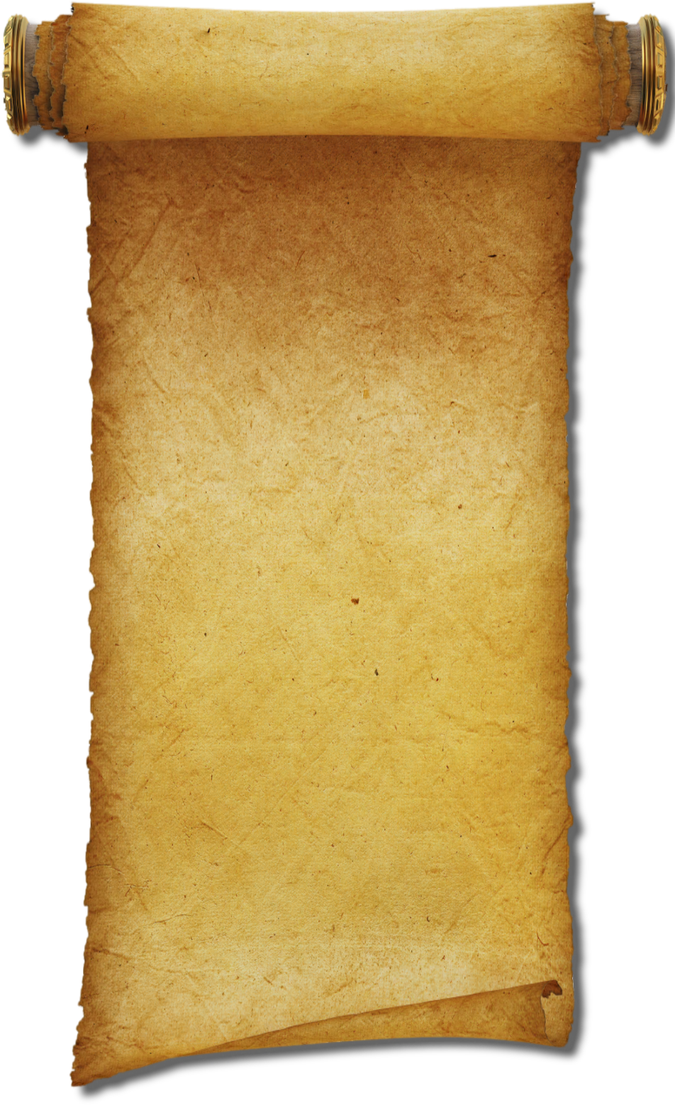 Black Friday (952x1565), Png Download