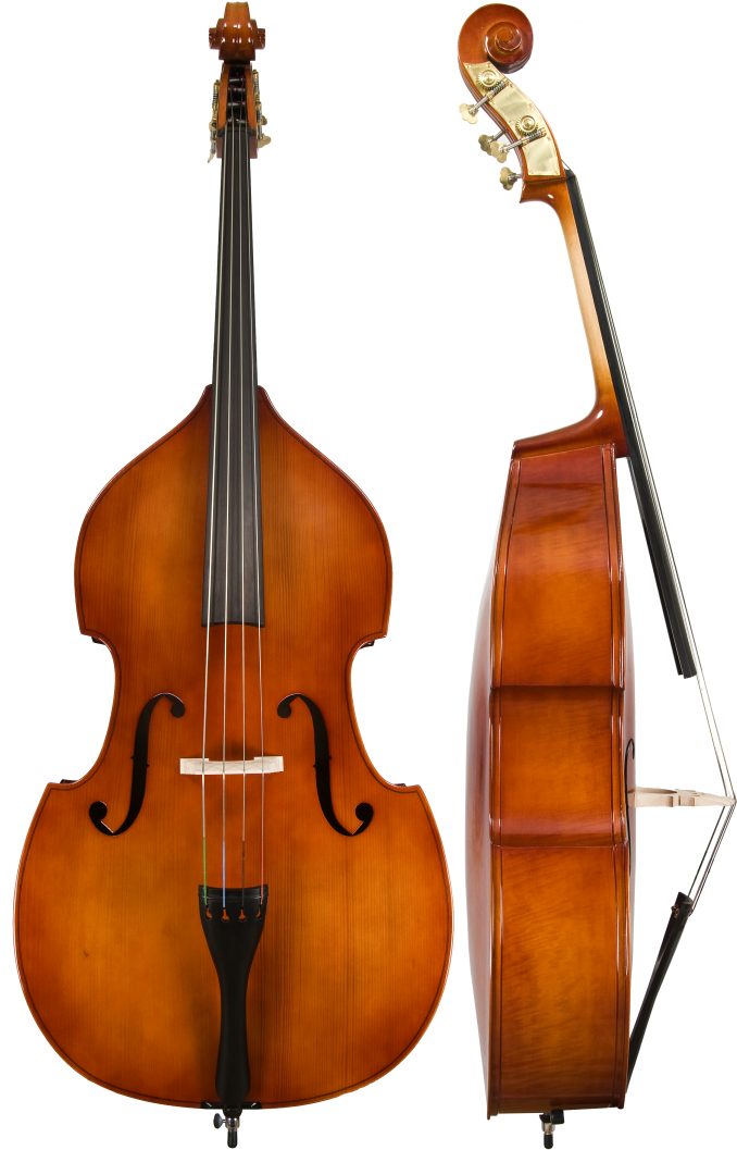 Model 80 Bass - Double Bass Instrument (700x1069), Png Download