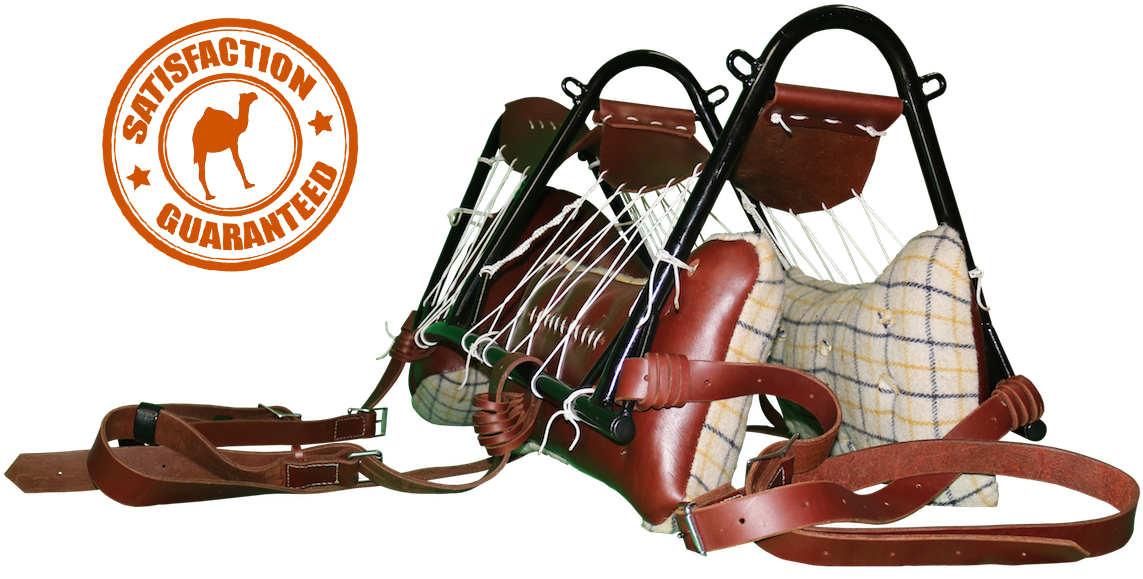 Camel Saddle Camel Pack Saddle - Swing (1200x800), Png Download