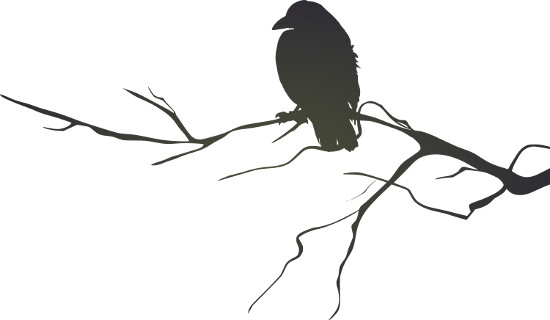 Crow Clipart Branch Silhouette - Raven On A Branch Silhouette (550x320), Png Download
