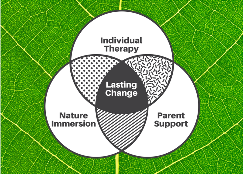 Venn Diagram Integrative Therapy 1 - Retro Schwarzweiss-kapselmuster Visitenkarte (1000x750), Png Download