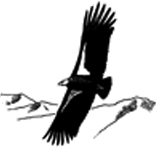New Research Summaries From The Auk And The Condor - Falconiformes (610x610), Png Download