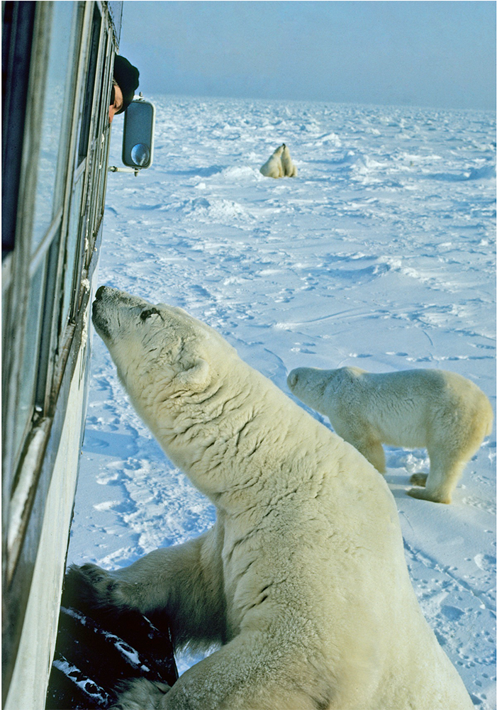 Churchill, Canada - Churchill (1600x1000), Png Download