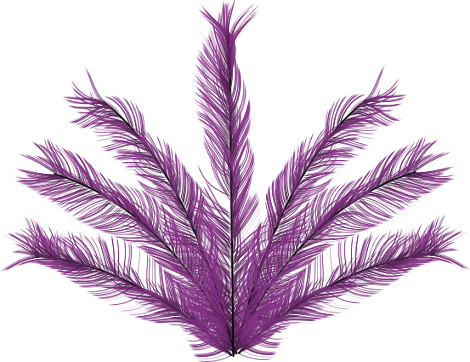 Roupa De Carnaval Png (470x362), Png Download